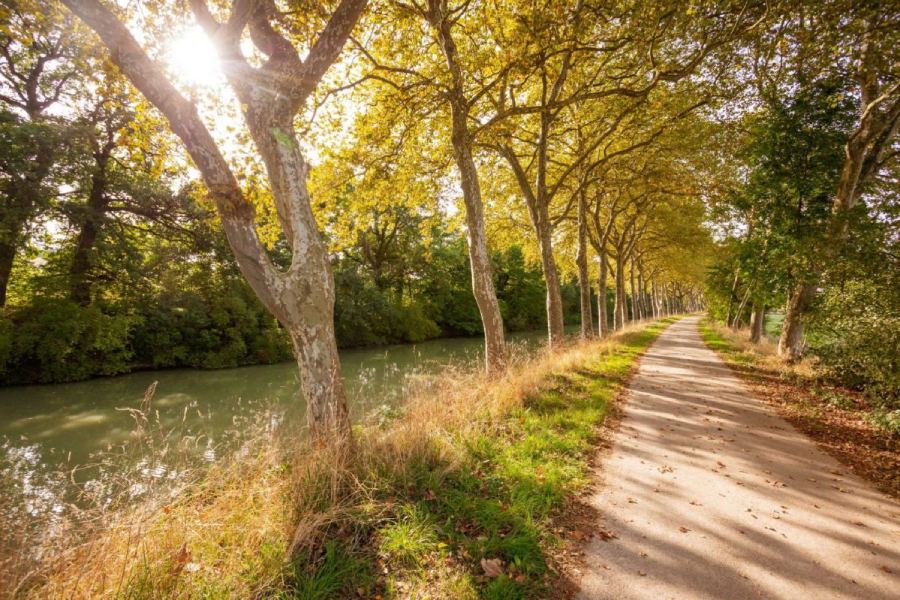 Canal du Midi Toulouse