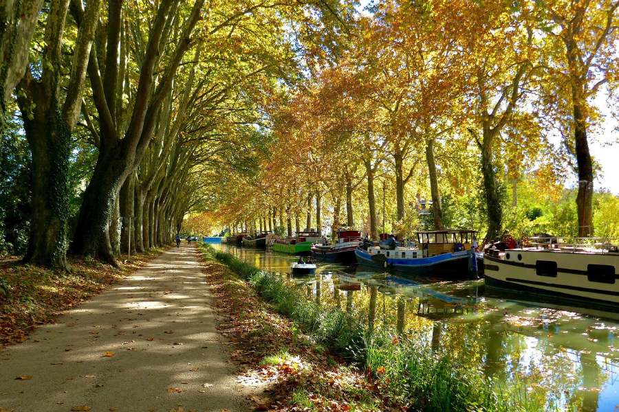 Canal du Midi bordé d’arbres et bateau