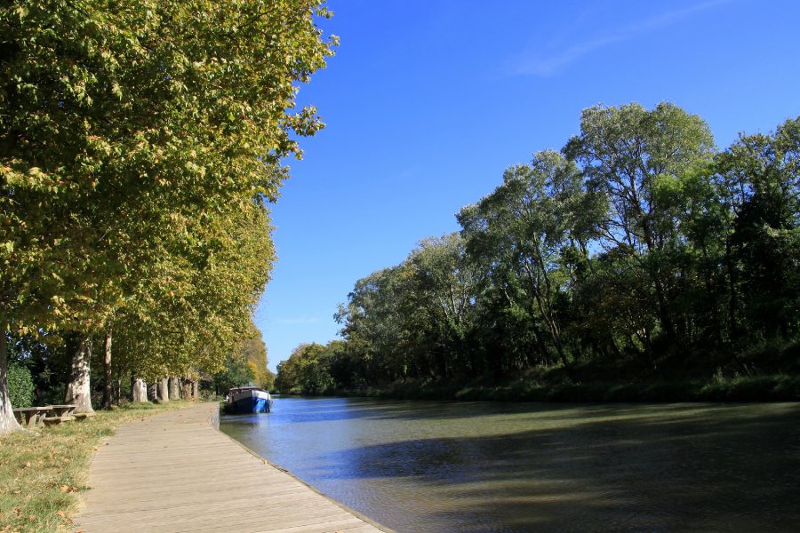 Canal du Midi bordé d’arbres