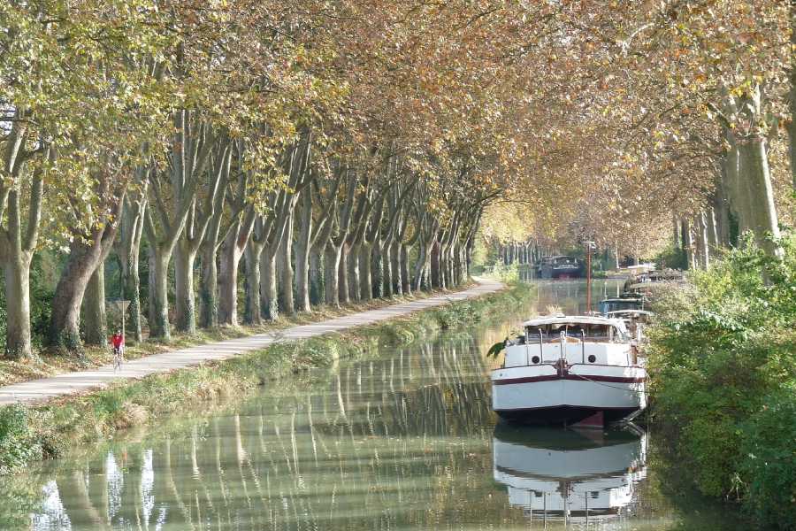 Canal du Midi bordé d’arbres