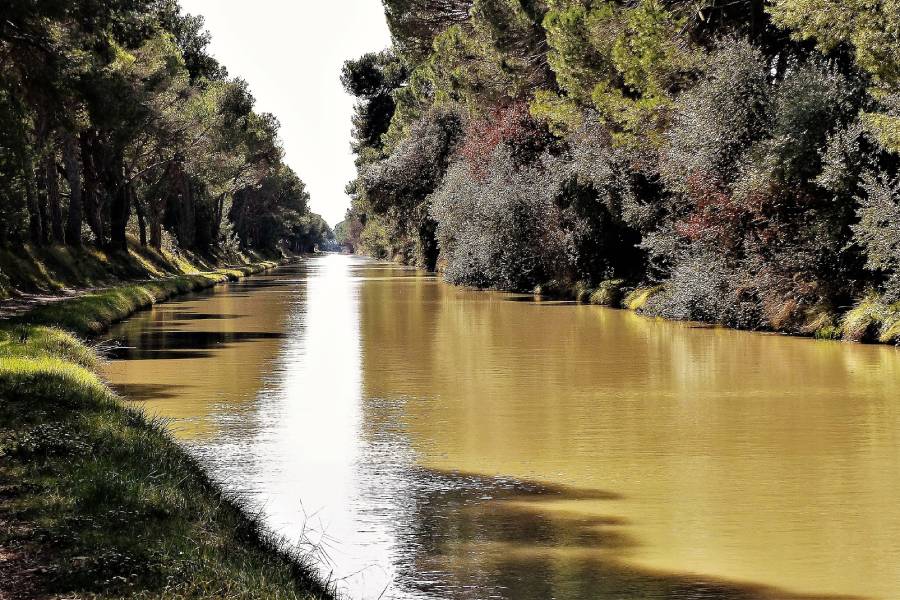 Canal du Midi bordé d’arbres dans l’Aude